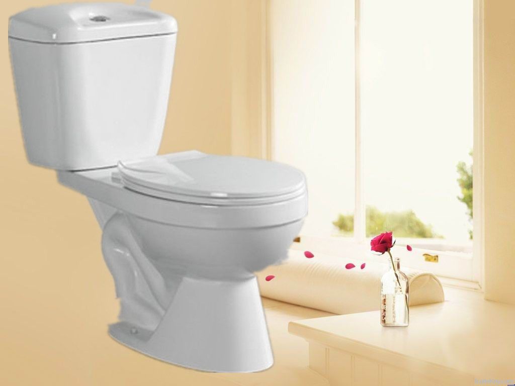 siphonic two piece toilet