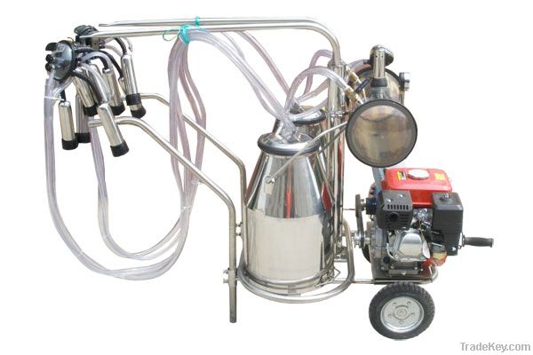 Small Piston Milking Machines Single Bucket For Cows