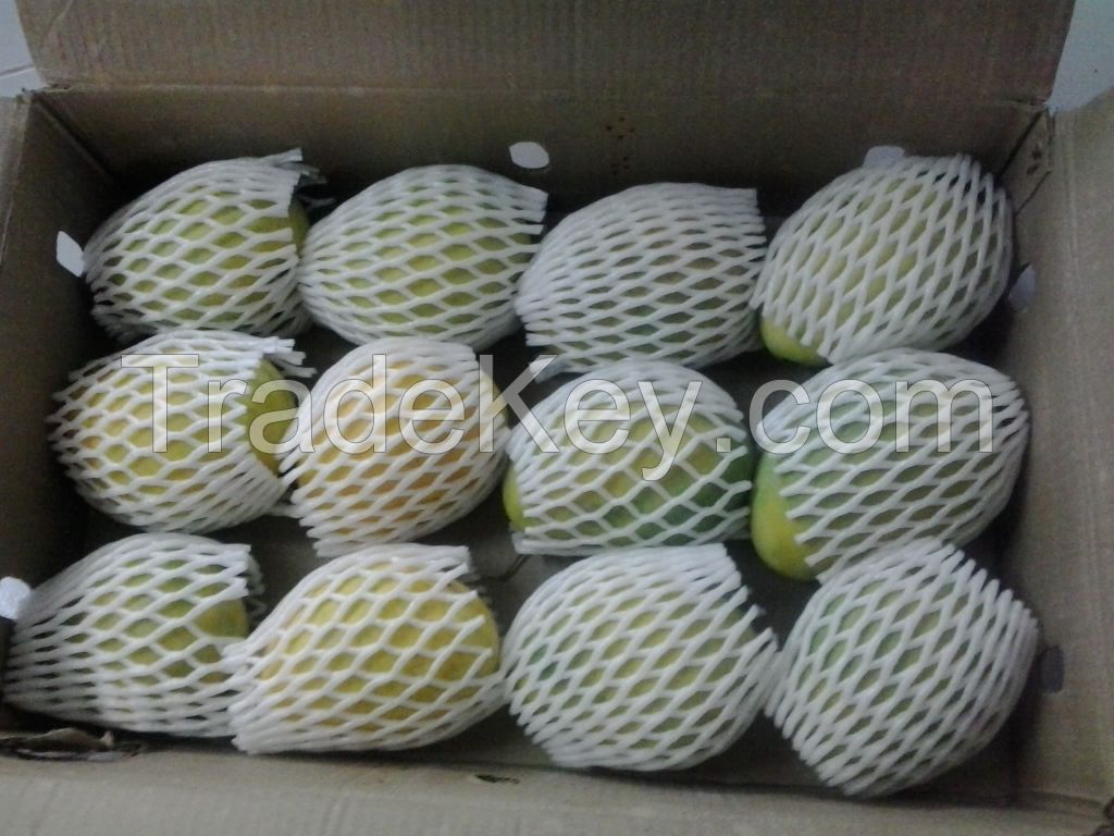 FRESH INDIA MANGO- BEST QUALITY OF ROYAL 