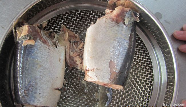 canned mackerel in brine
