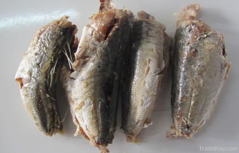 canned jack mackerel in brine