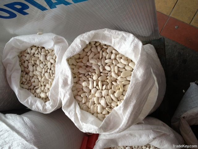 White Beans Western Macedonia