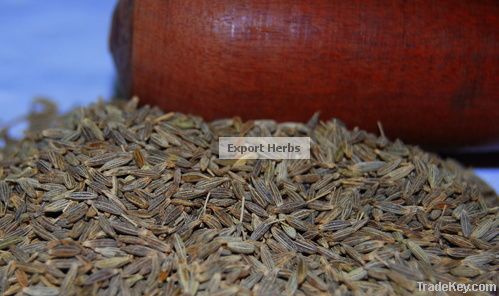 Cumin Seed