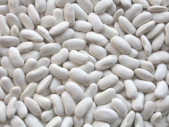 Dry White Beans