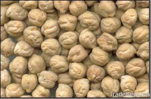 White Chickpea,chickpeas suppliers,chick pea exporters,chickpea traders,kabuli chickpea buyers,desi chick peas wholesalers,low price chickpea,best buy chick peas,buy chickpea