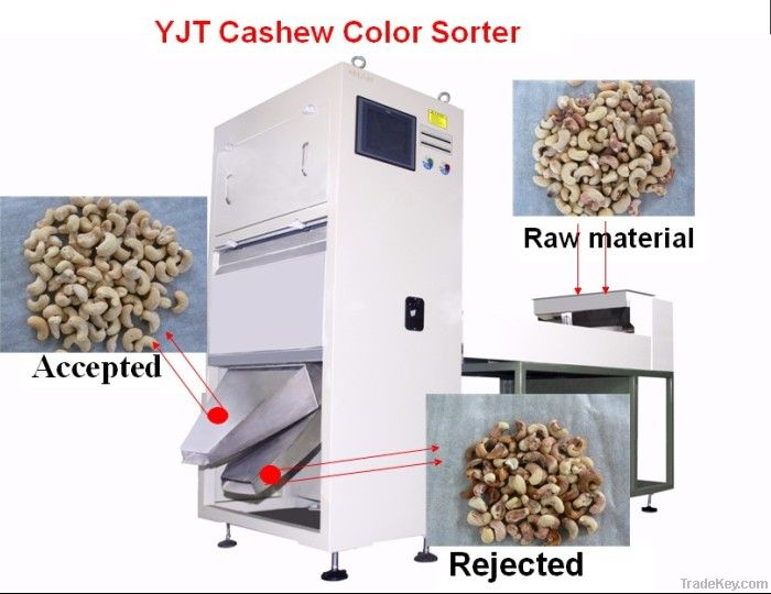 Buhler Cashew Nut Color Sorter Machine