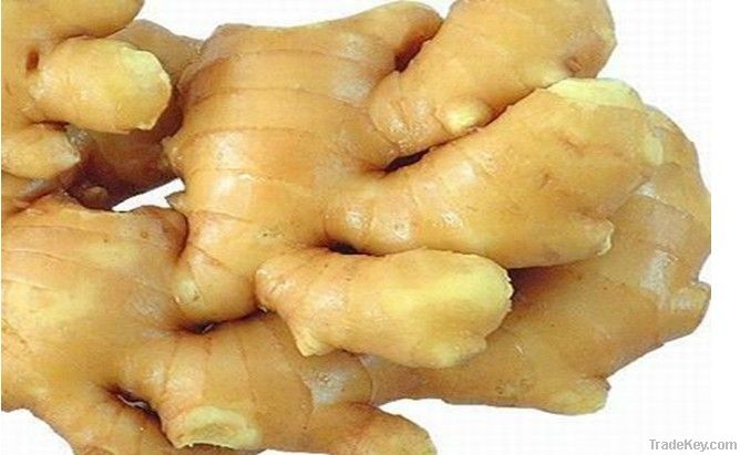 wahed ginger and air-dry ginger
