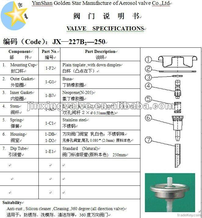 car protecting aerosol valve