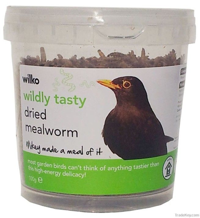 100g of Tub Premuim Dried Mealworms For Your Wild Bird