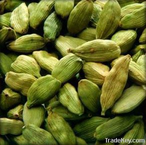 green cardamom spices