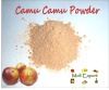 Camu Camu Powder