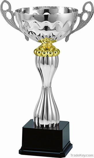 Celebration Award trophy