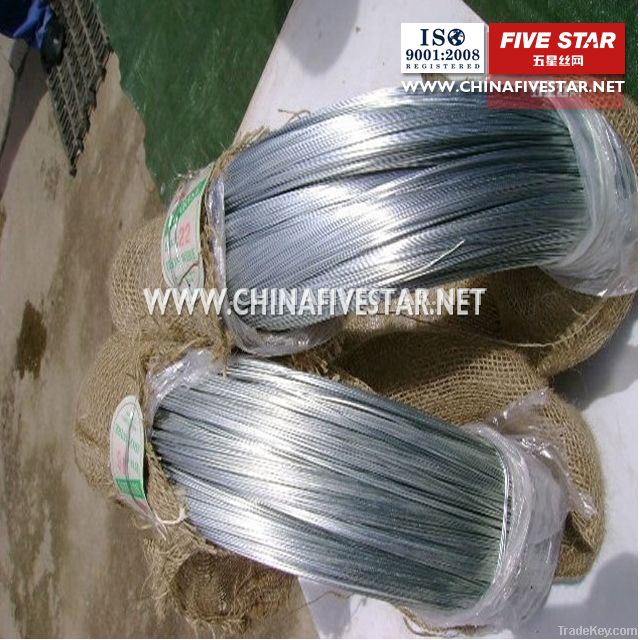 High quality with best price electro galvanized iron wire