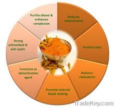 Curcumin extract