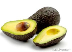 Hass  Avocado