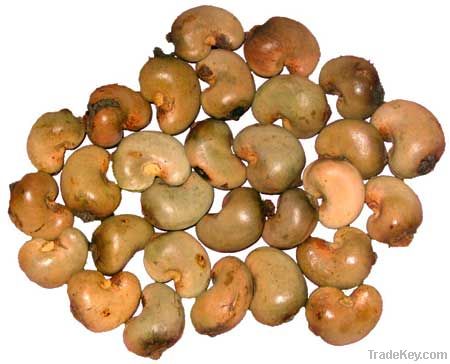 Raw Cashew Nuts & Roasted Cashew Nuts | Dried Fruits | W240 Cashew Nuts Suppliers | W320 Cashew Nut Exporters |Buy  WW230 Cashew Nut