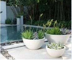 bowl fibreclay garden planter