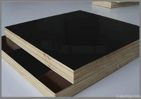 film faced plywood sheet