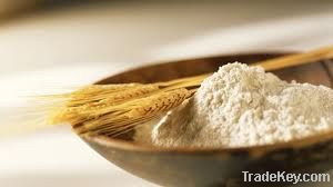 high gluten flour