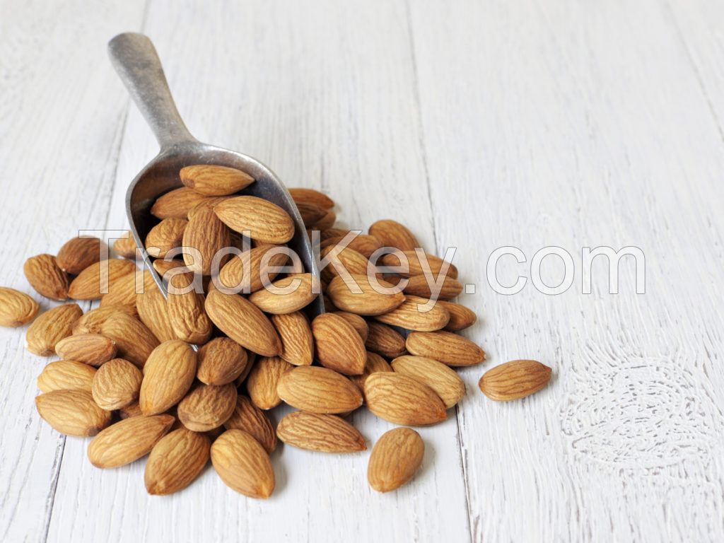 Raw Cashew nuts, Raw Pistachio nuts, Raw Macadamia nuts, Raw Almond Nuts