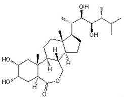 24-Epibrassinolide