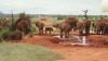 Safari to Tsavo National Park & Taita Salt Lick Lodges