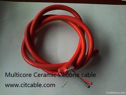 Ceramics Silicone Cable