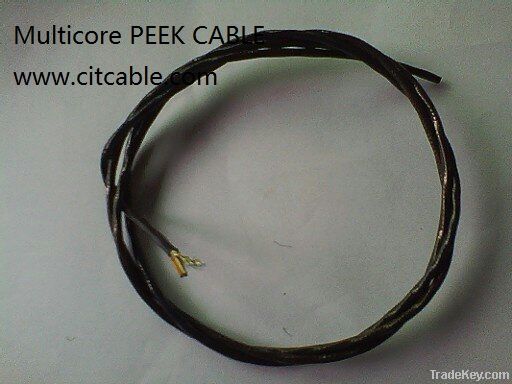 PEEK WIRE CABLE