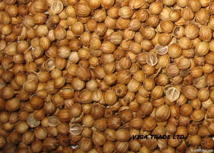 Coriander Seed