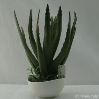 artificial cactus