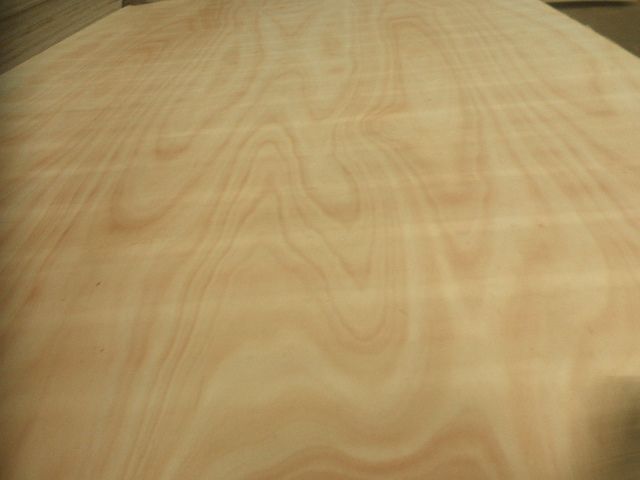 Good price plywood for packing and construction