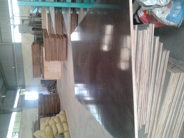 Good price plywood for packing and construction