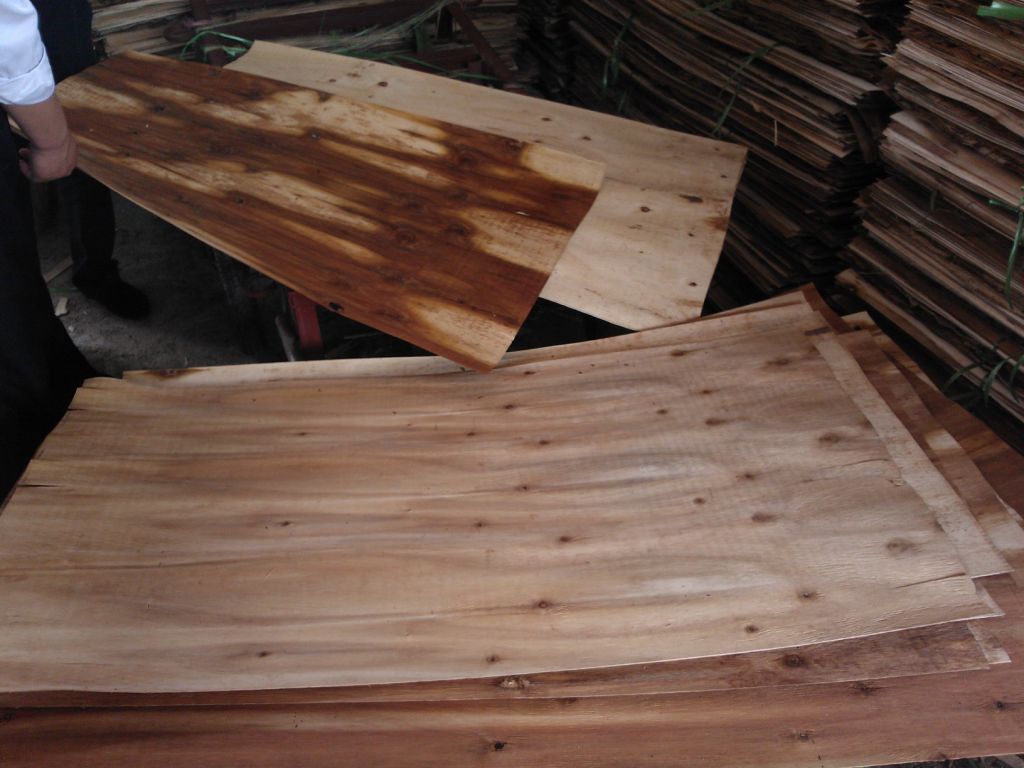 Good price plywood for packing and construction