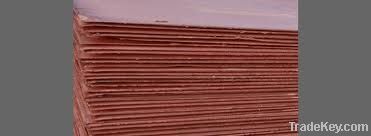 Copper Cathodes