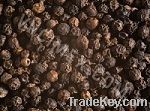 Black Pepper grade 500g/l