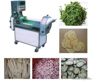 Multifunction inverter Controlled Vegetable Cutter