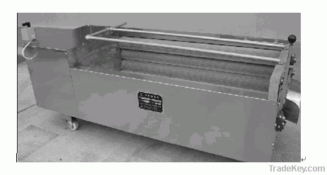 Carrot Washing Machine GG-108