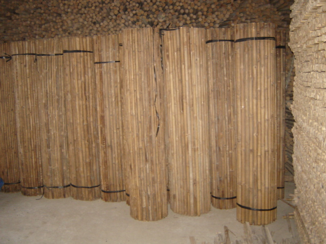 bamboo rolled fencing