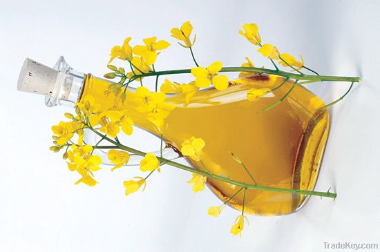 Canola Oil