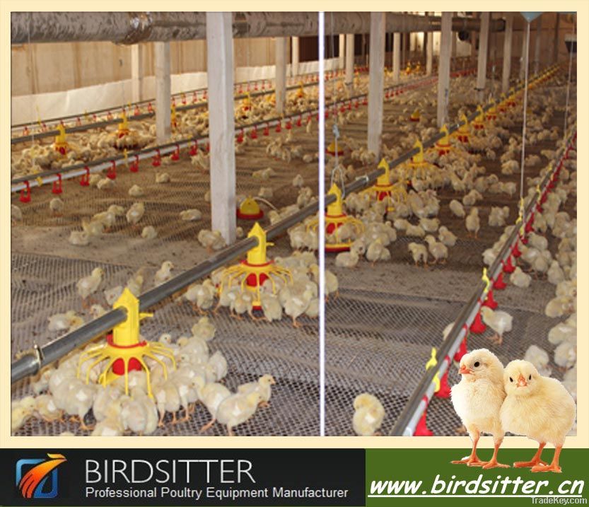 automatic poultry equipment for chicken and broiler