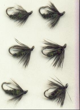 Grey Hackle Peacock