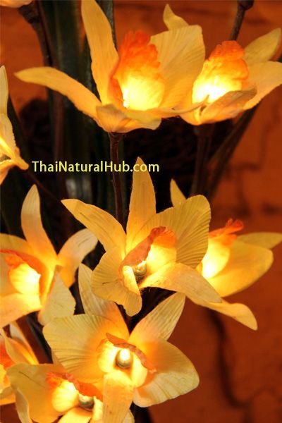 Lighted Orchid Flowers
