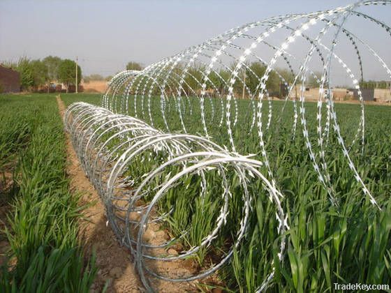 airport/razor barbed fence