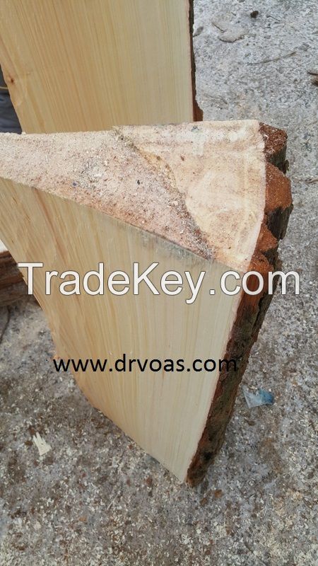 Cricket bat willow clefts 