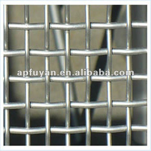 Galvanized square wire mesh (professional manufacturer)