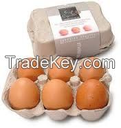 Fresh Chicken Table Eggs Brown and White