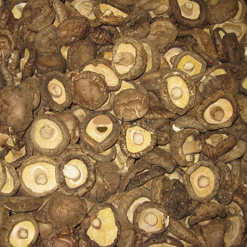 Dehydrated dried shiitake mushroom lentinus edodes