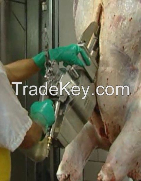 Livestock Slaughter (Aabattoir) Brisket Opening Saw