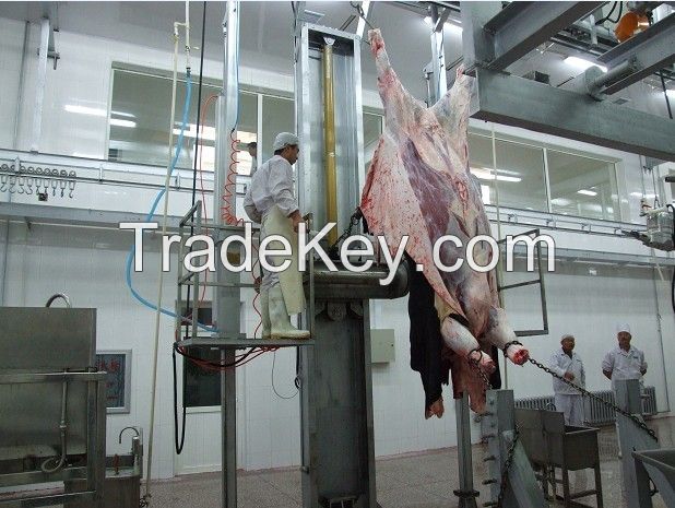 Hydraulic Type Cattle Abattoir Skin Removed  Machine