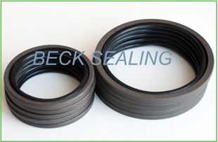 PTFE Glyd/GSF seal ring